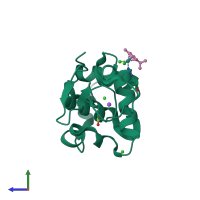 PDB entry 1t3p coloured by chain, side view.