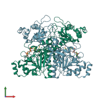 PDB entry 1t3z coloured by chain, front view.