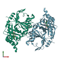 PDB entry 1t47 coloured by chain, front view.