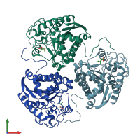 PDB entry 1t4s coloured by chain, front view.