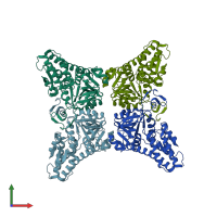 PDB entry 1t5o coloured by chain, front view.