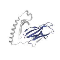 The deposited structure of PDB entry 1t5x contains 1 copy of Pfam domain PF07654 (Immunoglobulin C1-set domain) in HLA class II histocompatibility antigen, DR alpha chain. Showing 1 copy in chain A.