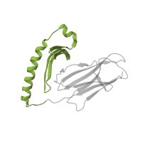 The deposited structure of PDB entry 1t5x contains 1 copy of SCOP domain 54453 (MHC antigen-recognition domain) in HLA class II histocompatibility antigen, DR alpha chain. Showing 1 copy in chain A.