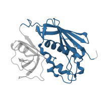 The deposited structure of PDB entry 1t5x contains 1 copy of CATH domain 3.10.20.120 (Ubiquitin-like (UB roll)) in Enterotoxin type C-3. Showing 1 copy in chain D.