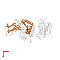 HLA class II histocompatibility antigen, DRB1 beta chain in PDB entry 1t5x, assembly 1, top view.