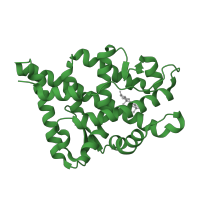 The deposited structure of PDB entry 1t5z contains 1 copy of SCOP domain 48509 (Nuclear receptor ligand-binding domain) in Androgen receptor. Showing 1 copy in chain A.
