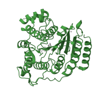 The deposited structure of PDB entry 1t67 contains 1 copy of SCOP domain 52773 (Histone deacetylase, HDAC) in Histone deacetylase 8. Showing 1 copy in chain A.