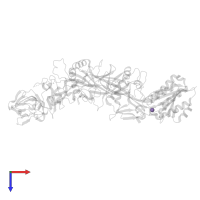 MANGANESE (II) ION in PDB entry 1t6b, assembly 1, top view.