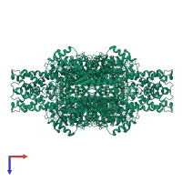 Homo tetrameric assembly 1 of PDB entry 1t6j coloured by chemically distinct molecules, top view.