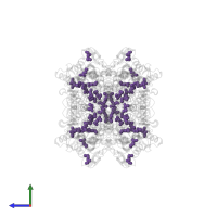 Modified residue MSE in PDB entry 1t6j, assembly 1, side view.