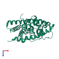 Androgen receptor in PDB entry 1t73, assembly 1, top view.