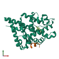 PDB entry 1t79 coloured by chain, front view.