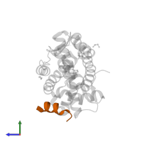 FxxYF motif peptide in PDB entry 1t7m, assembly 1, side view.