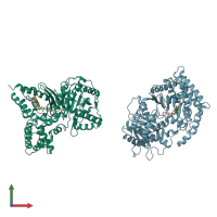PDB entry 1t7q coloured by chain, front view.