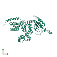 DNA polymerase kappa in PDB entry 1t94, assembly 1, front view.