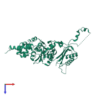 DNA polymerase kappa in PDB entry 1t94, assembly 1, top view.