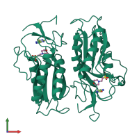 Homo dimeric assembly 1 of PDB entry 1tc1 coloured by chemically distinct molecules, front view.