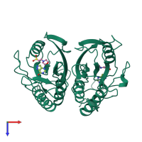 Homo dimeric assembly 1 of PDB entry 1tc1 coloured by chemically distinct molecules, top view.
