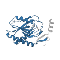 The deposited structure of PDB entry 1tc2 contains 2 copies of Pfam domain PF00156 (Phosphoribosyl transferase domain) in Hypoxanthine phosphoribosyltransferase. Showing 1 copy in chain B.