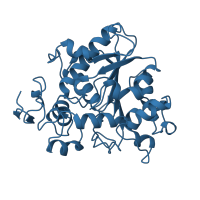 The deposited structure of PDB entry 1tcc contains 2 copies of SCOP domain 53558 (Fungal lipases) in Lipase B. Showing 1 copy in chain A.