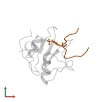 T-cell surface glycoprotein CD3 zeta chain in PDB entry 1tce, assembly 1, front view.