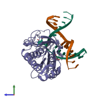 PDB entry 1tdz coloured by chain, side view.