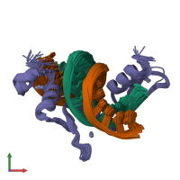 PDB entry 1tf3 coloured by chain, ensemble of 22 models, front view.