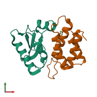 PDB entry 1tfk coloured by chain, front view.