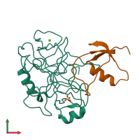 PDB entry 1tgs coloured by chain, front view.