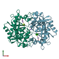 PDB entry 1tgy coloured by chain, front view.