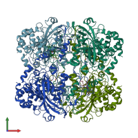 PDB entry 1th4 coloured by chain, front view.