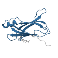 The deposited structure of PDB entry 1tha contains 2 copies of Pfam domain PF00576 (HIUase/Transthyretin family) in Transthyretin. Showing 1 copy in chain A.