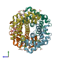 PDB entry 1thb coloured by chain, side view.