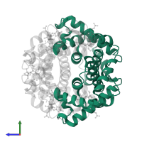 Hemoglobin subunit alpha in PDB entry 1thb, assembly 1, side view.