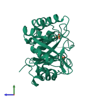 PDB 1thf coloured by chain and viewed from the side.