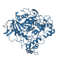 The deposited structure of PDB entry 1thg contains 1 copy of Pfam domain PF00135 (Carboxylesterase family) in Lipase 2. Showing 1 copy in chain A.