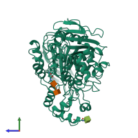 PDB entry 1thg coloured by chain, side view.