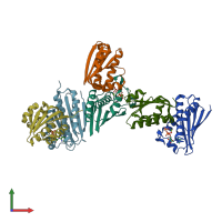 PDB entry 1til coloured by chain, front view.