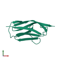 Titin in PDB entry 1tiu, assembly 1, front view.