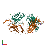 PDB entry 1tjh coloured by chain, front view.