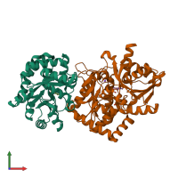 PDB entry 1tjp coloured by chain, front view.