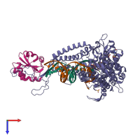 PDB entry 1tk8 coloured by chain, top view.