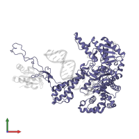 DNA-directed DNA polymerase in PDB entry 1tk8, assembly 1, front view.