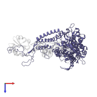 DNA-directed DNA polymerase in PDB entry 1tk8, assembly 1, top view.