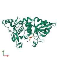 3D model of 1tl9 from PDBe