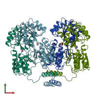 PDB entry 1tlf coloured by chain, front view.