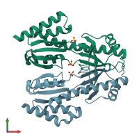 PDB entry 1tlj coloured by chain, front view.