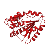 The deposited structure of PDB entry 1tmk contains 2 copies of CATH domain 3.40.50.300 (Rossmann fold) in Thymidylate kinase. Showing 1 copy in chain A.