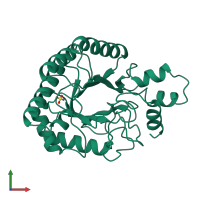 PDB entry 1tml coloured by chain, front view.