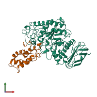 PDB entry 1tmq coloured by chain, front view.